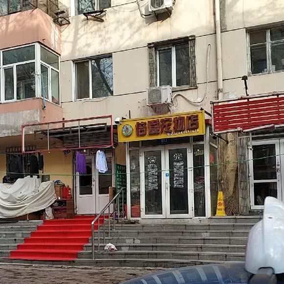 倍爱宠物会馆:哈尔滨市道里区公路大桥附近