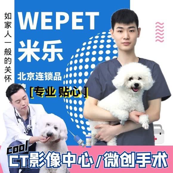 米乐动物医院哈尔滨中心医院:哈尔滨市道里区公路大桥附近