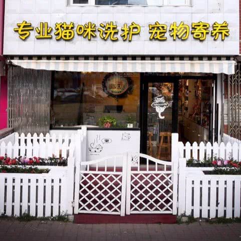 晓东东宠物店(嵩山路店):哈尔滨市南岗区开发区附近