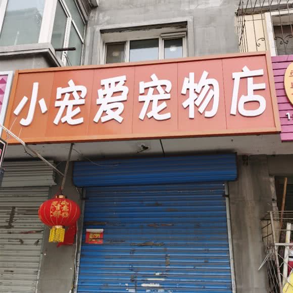 小宠爱宠物店:哈尔滨市南岗区开发区附近