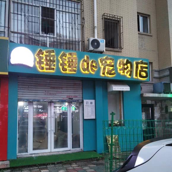 锤锤de宠物店:哈尔滨市南岗区开发区附近