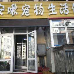 安啾宠物生活馆:哈尔滨市南岗区开发区附近