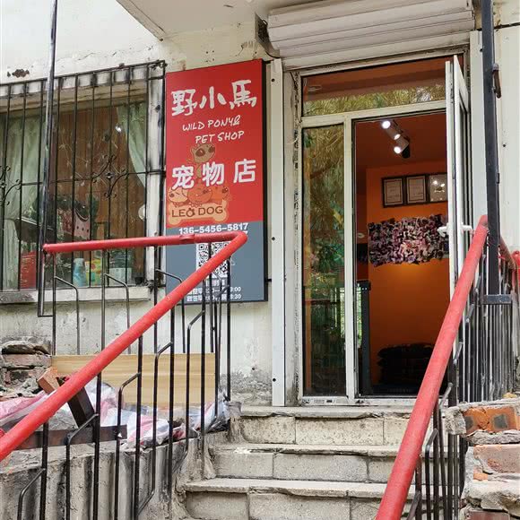 野小马宠物店:哈尔滨市南岗区开发区附近
