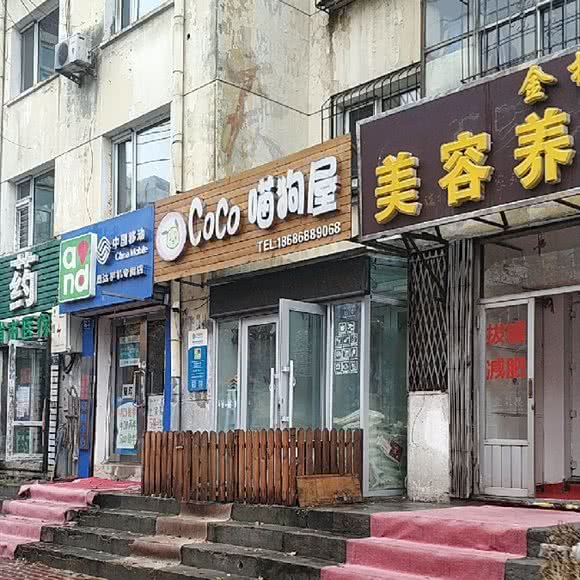 coco喵狗屋:哈尔滨市南岗区开发区附近