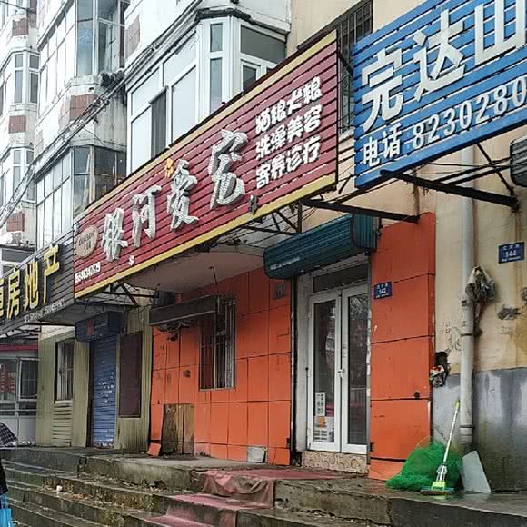 多奇屋银河爱宠:哈尔滨市南岗区开发区附近