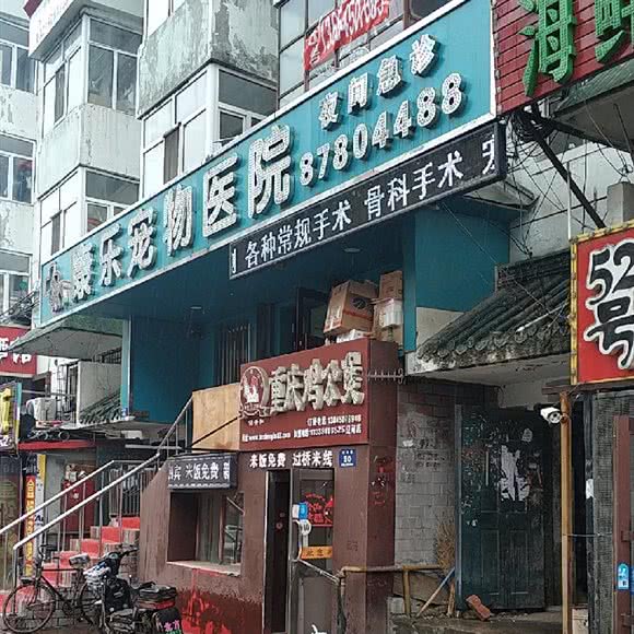 康乐宠物医院:哈尔滨市南岗区开发区附近