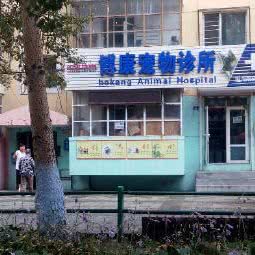 博康宠物诊所:哈尔滨市南岗区开发区附近