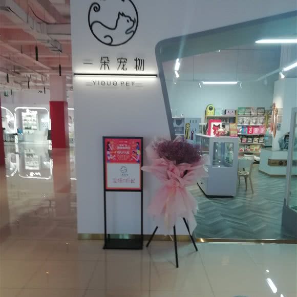 一朵宠物:哈尔滨市南岗区学府路/凯德广场附近