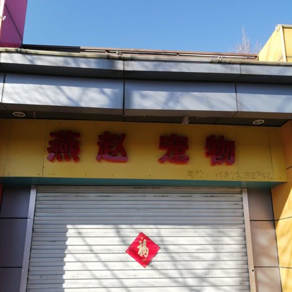 燕赵宠物:北京城区丰台区云岗附近