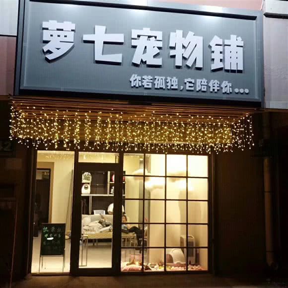 萝七宠物铺:哈尔滨市南岗区学府路/凯德广场附近