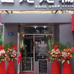 谜宠宠物狗:哈尔滨市南岗区秋林/花园街附近