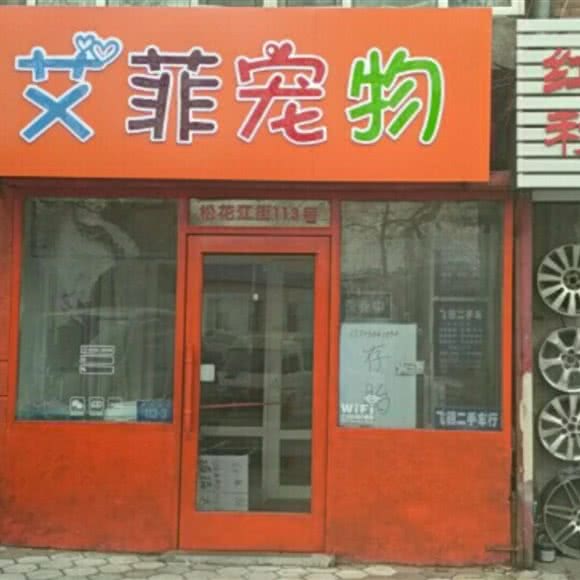 艾菲宠物:哈尔滨市南岗区哈工大/教化广场附近