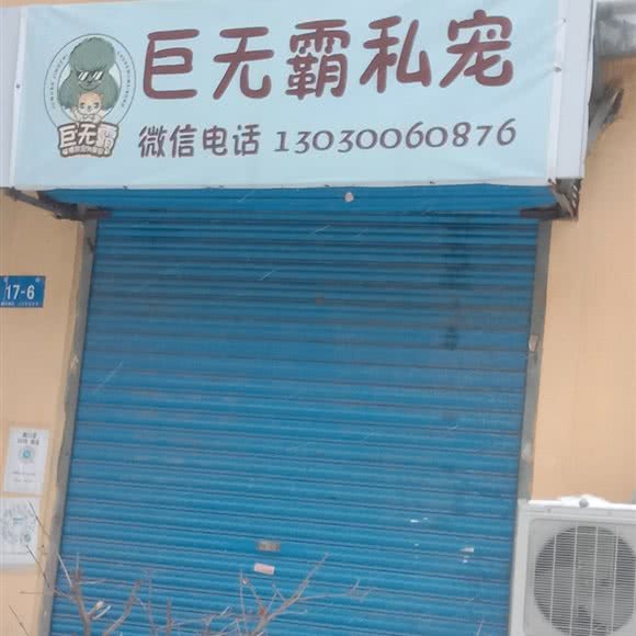 巨无霸私宠:哈尔滨市南岗区哈工大/教化广场附近