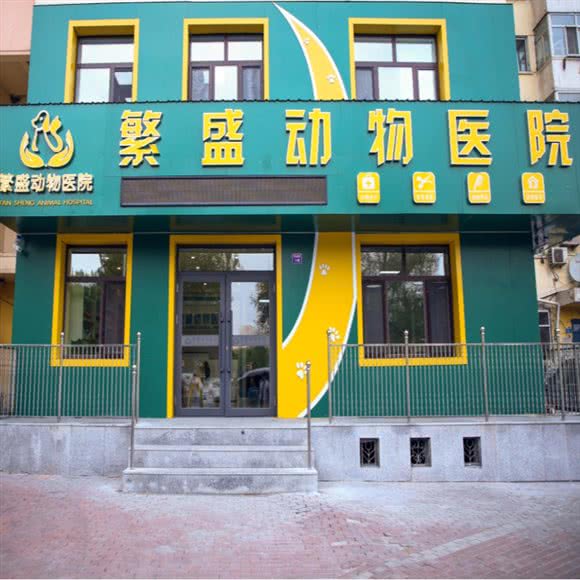 繁盛动物医院·骨科诊疗中心:哈尔滨市南岗区哈工大/教化广场附近
