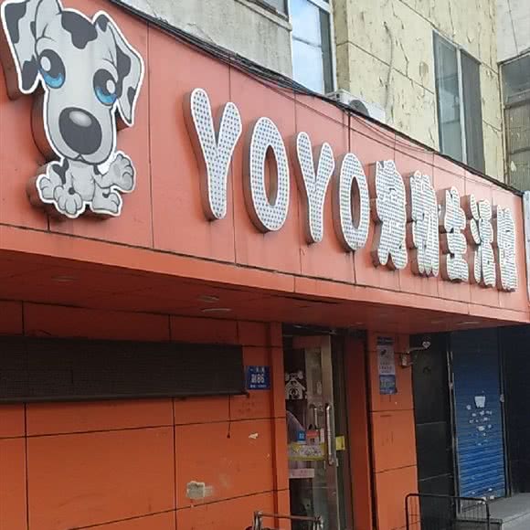 Yoyo宠物生活馆:哈尔滨市南岗区船舶/军工院附近