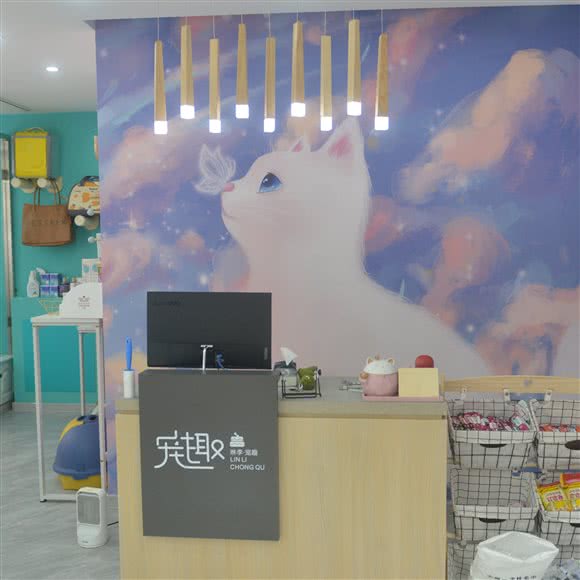琳李宠趣(猫咪店):哈尔滨市南岗区哈西大街附近