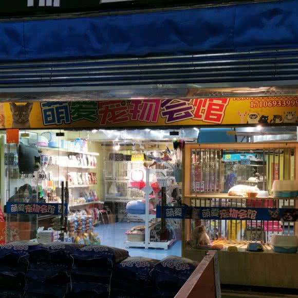 萌爱宠物会馆:哈尔滨市南岗区芦家街/宣化街附近