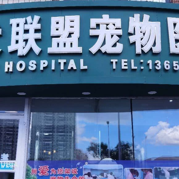 FCI畜犬联盟宠物医院连锁政府机构:哈尔滨市南岗区芦家街/宣化街附近