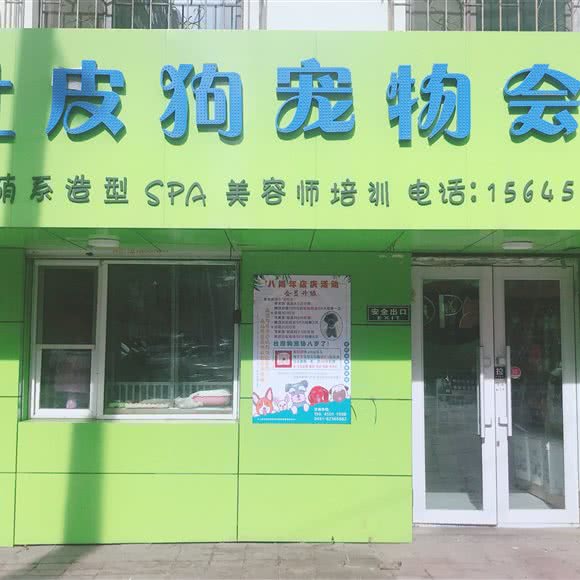 杜皮狗宠物会馆:哈尔滨市南岗区国际会展中心附近