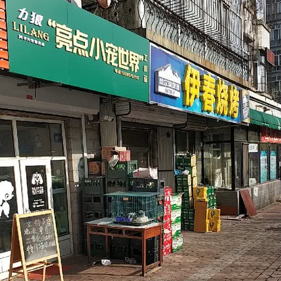 亮点小宠世界:哈尔滨市南岗区和兴路沿线附近