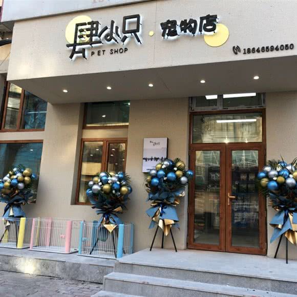 肆小只宠物店:哈尔滨市南岗区和兴路沿线附近