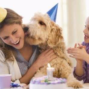 美特萌宠宠物会所:哈尔滨市南岗区和兴路沿线附近