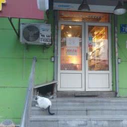 约尼宠物:哈尔滨市南岗区果戈里/革新街附近