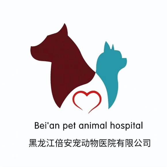 倍安宠动物医院·果戈里猫友好医院:哈尔滨市南岗区果戈里/革新街附近