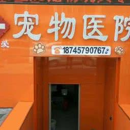 关爱宠物医院:哈尔滨市南岗区果戈里/革新街附近