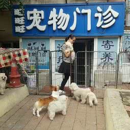 旺旺旺宠物门诊:哈尔滨市南岗区果戈里/革新街附近