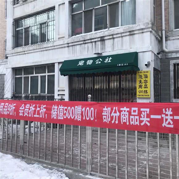 宠物公社:哈尔滨市南岗区征仪路/保健路附近