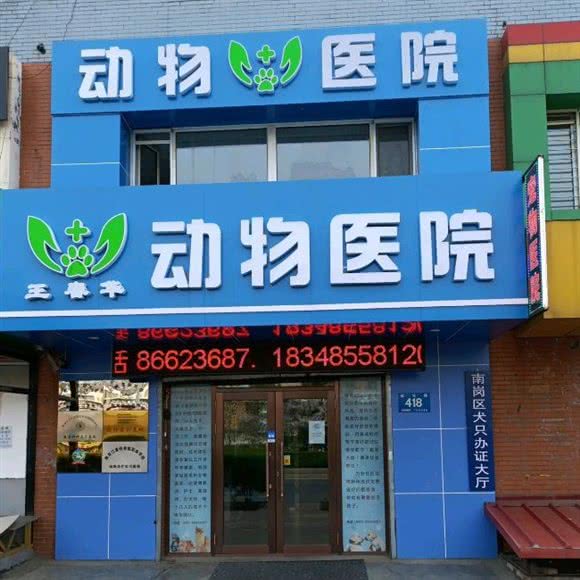 王春华动物医院:哈尔滨市南岗区征仪路/保健路附近