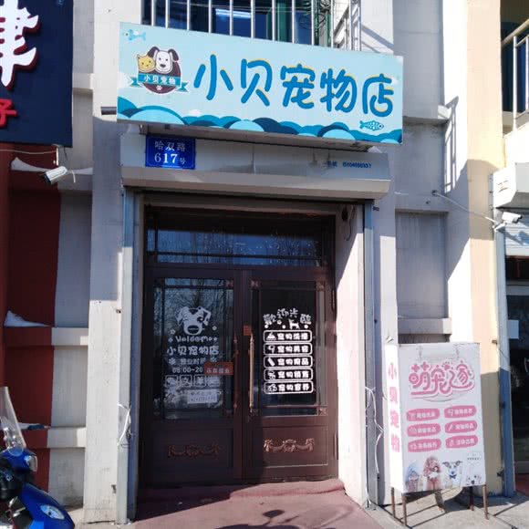 小贝宠物店:哈尔滨市南岗区王岗附近