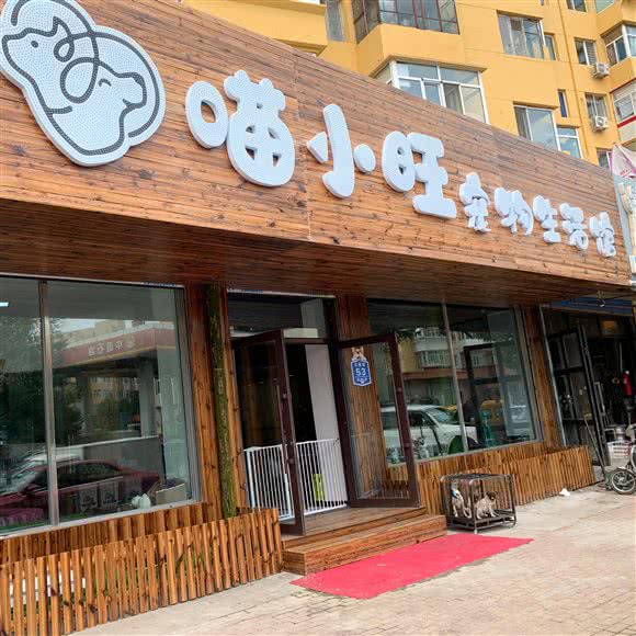 喵小旺宠物生活馆:哈尔滨市道外区靖宇街沿线/阿拉伯广场附近