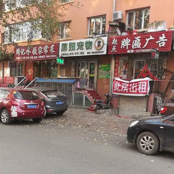 黑妞宠物:哈尔滨市道外区靖宇街沿线/阿拉伯广场附近