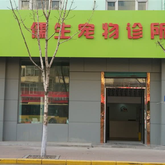 儒士宠物诊所:哈尔滨市道外区靖宇街沿线/阿拉伯广场附近