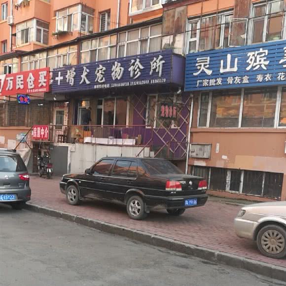 增犬宠物诊所:哈尔滨市道外区靖宇街沿线/阿拉伯广场附近