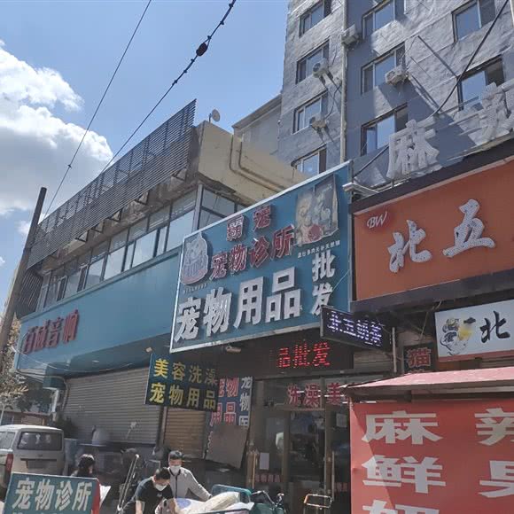 霸宠宠物诊所:哈尔滨市道外区靖宇街沿线/阿拉伯广场附近