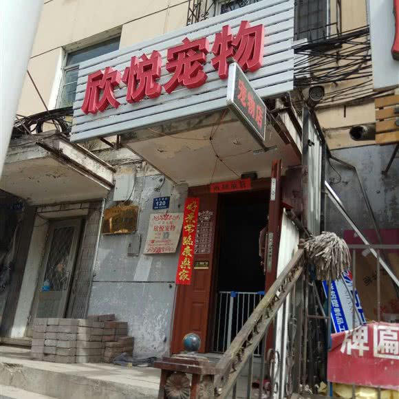 欣悦宠物:哈尔滨市道外区江畔景区附近