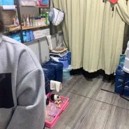 小爽宠物:哈尔滨市道外区江畔景区附近