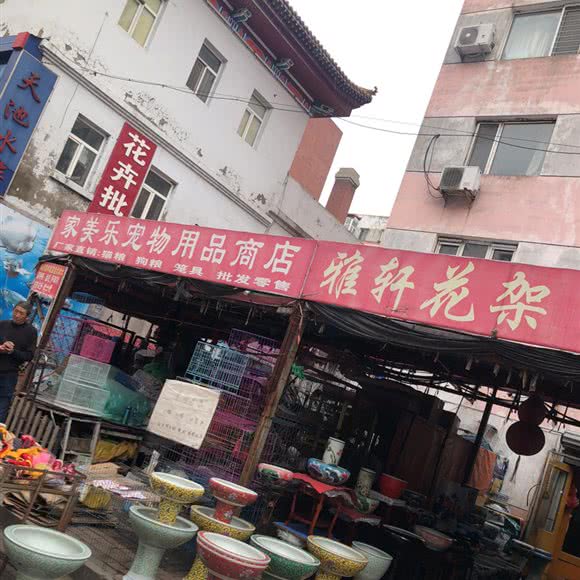 家美乐宠物用品商店:哈尔滨市道外区江畔景区附近