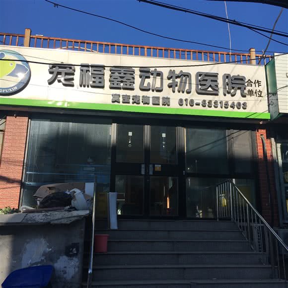 定福鑫宠物:北京城区丰台区云岗附近