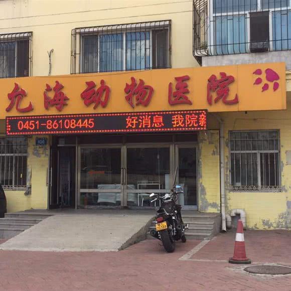 王允海动物医院:哈尔滨市道外区江畔景区附近