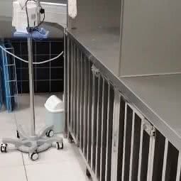 凯尔动物医院全科内窥镜微创中心(道外店):哈尔滨市道外区江畔景区附近