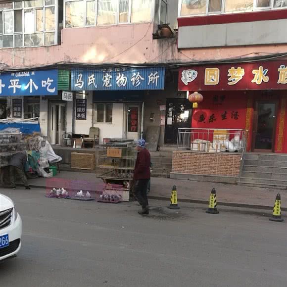 马氏宠物诊所:哈尔滨市道外区江畔景区附近