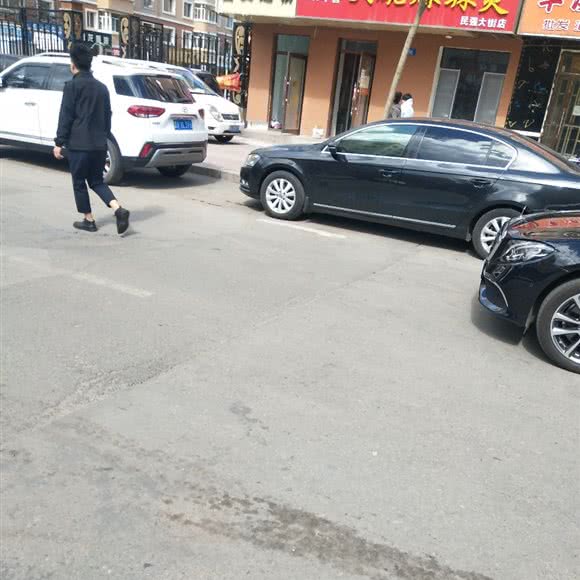 富贵狗狗:哈尔滨市道外区南直路/宏伟路附近