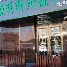 草原狗狗训练中心宠物店:哈尔滨市道外区南直路/宏伟路附近