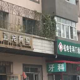 爱宠有家宠物会馆:哈尔滨市道外区南直路/宏伟路附近