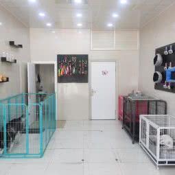 宠爱友家:哈尔滨市道外区太平桥/百盛购物中心附近