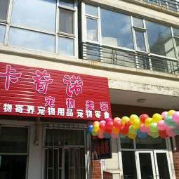 卡奇诺宠物美容:哈尔滨市道外区太平桥/百盛购物中心附近